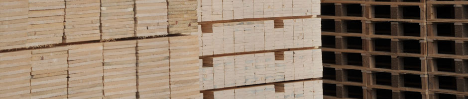 PPC Pallets Vriescheloo 9